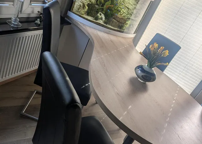 Hermine In شيلووسي