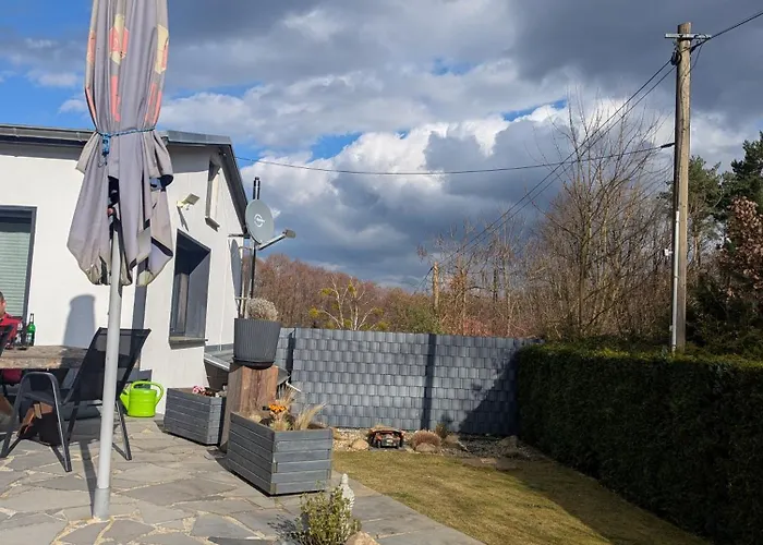 Hermine In * شيلووسي